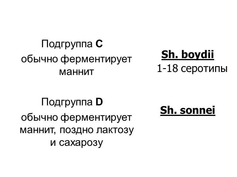 Подгруппа С  обычно ферментирует маннит  Подгруппа D  обычно ферментирует маннит, поздно